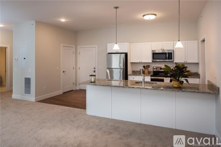 A kitchen with white cabinets and a countertop with a plant on it.