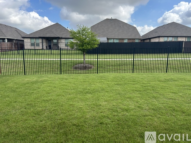 A tree stands in a grassy field in front of a row of houses.
