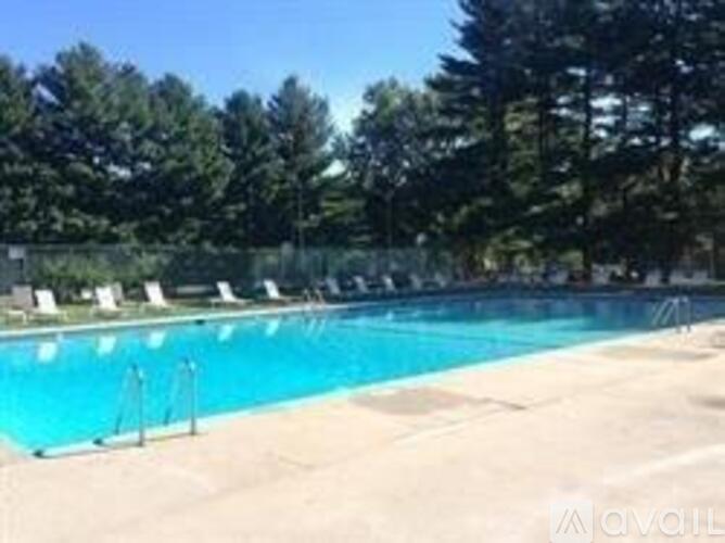 A large outdoor swimming pool surrounded by trees.