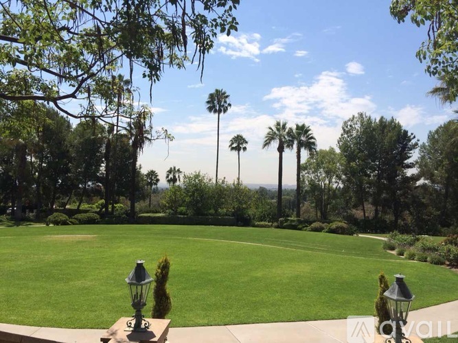 A well-manicured lawn with a lamp post and trees in the background.