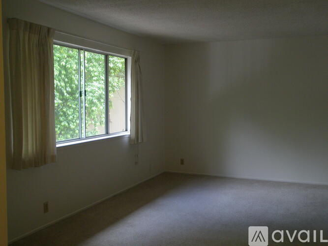 A room with a window and curtains is available for rent.