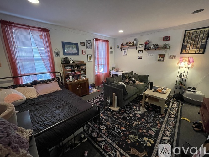 A bedroom with a black bed and a rug with a floral pattern.