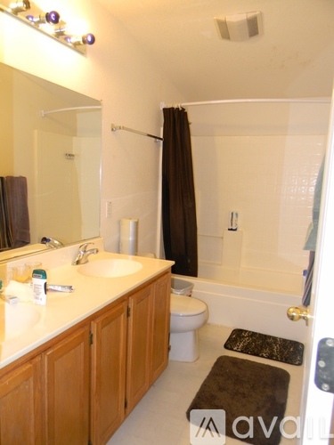 2334 Lapis Lane 1 Single Family Home for Rent - Photo gallery 3
