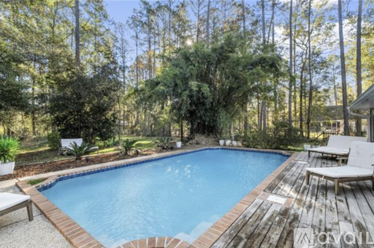 A pool surrounded by trees and a deck with chairs.
