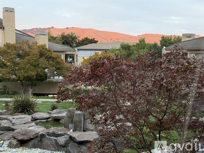 39206 Guardino Drive 1 Condo for Rent - Photo gallery 1