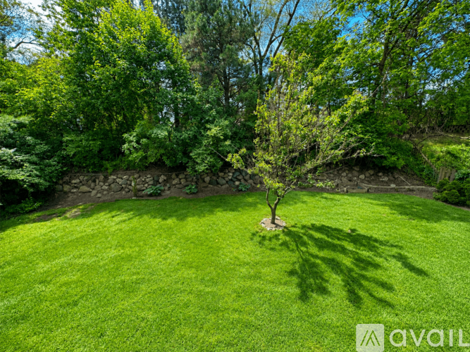 A tree stands alone in a grassy field.