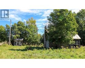 An abandoned house sits in a field with trees around it.