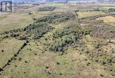 An aerial view of a landscape with a mix of greenery and open fields.
