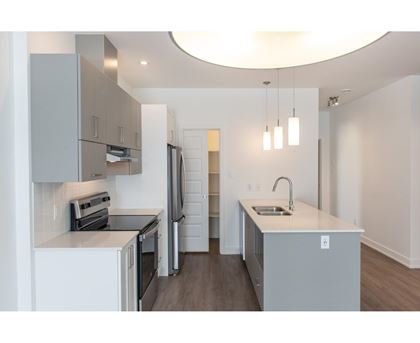 A modern kitchen with a refrigerator, sink, and cabinets.