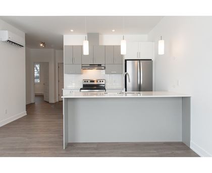 A modern kitchen with a refrigerator, oven, and cabinets.