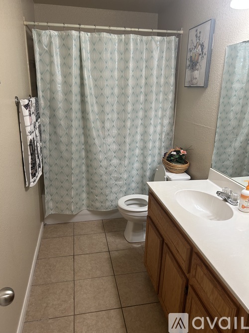 A bathroom with a toilet, sink, and shower curtain.