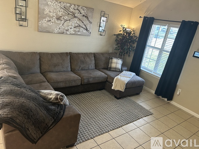 A living room with a grey couch and a grey rug.