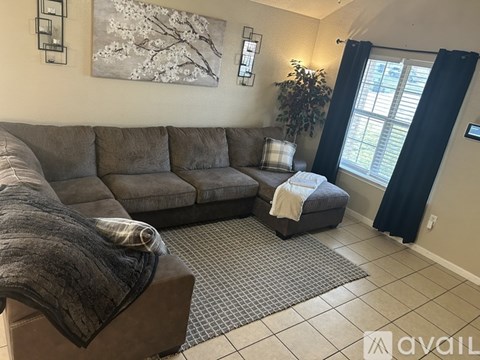 A living room with a grey couch and a grey rug.