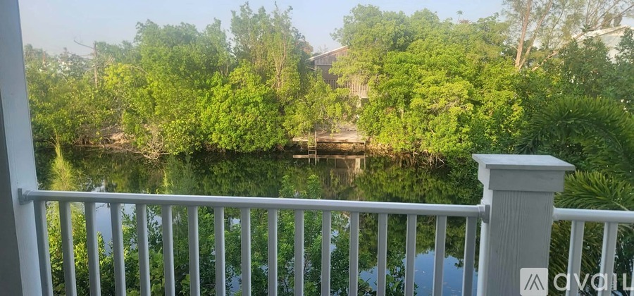 197 Lobstertail Road 3 Beds Single Family Home for Rent - Photo gallery 4