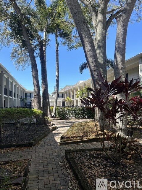 5221 Bayshore Boulevard 1 Apartment for Rent