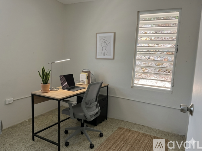 A room with a desk, chair, and a plant.