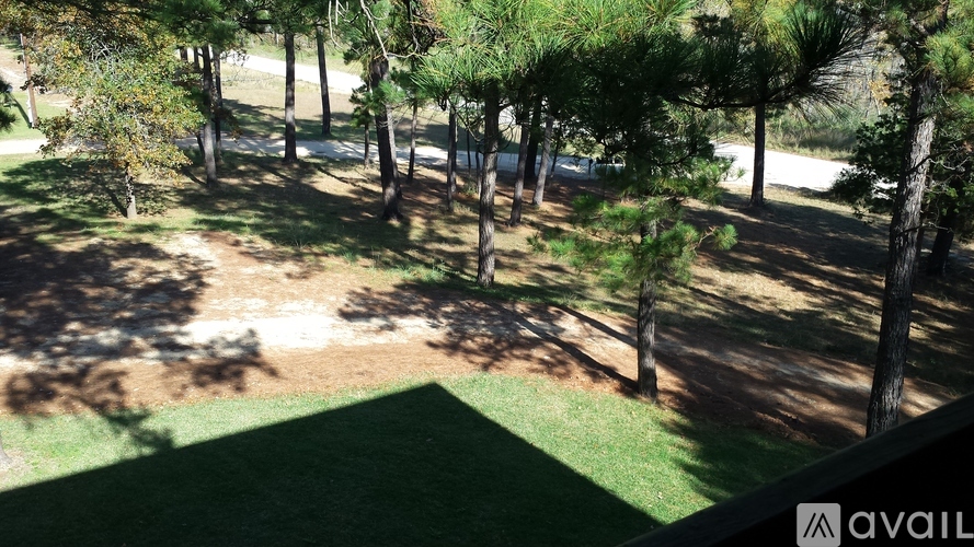 A grassy area with trees and a road in the distance.