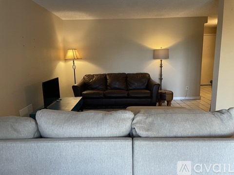 A living room with a grey couch and a black leather couch.