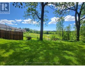 A lush green lawn with trees and a row of houses in the background.