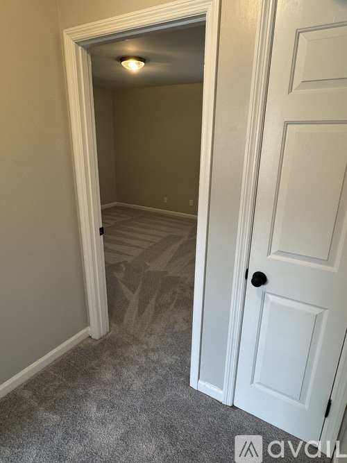 A white door is on the right and a light is on the ceiling of a room.