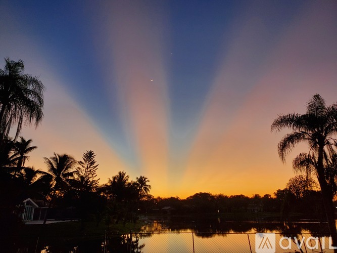 A beautiful sunset with rays of light shining through the clouds over a body of water with palm trees in the foreground.