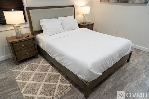 A bedroom with a large bed, a nightstand with a lamp, and a rug on the floor.