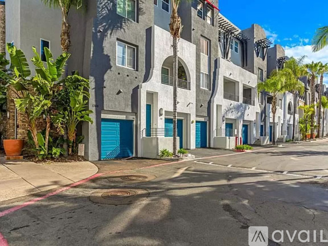 A street view of a building with a blue door and a palm tree in front.