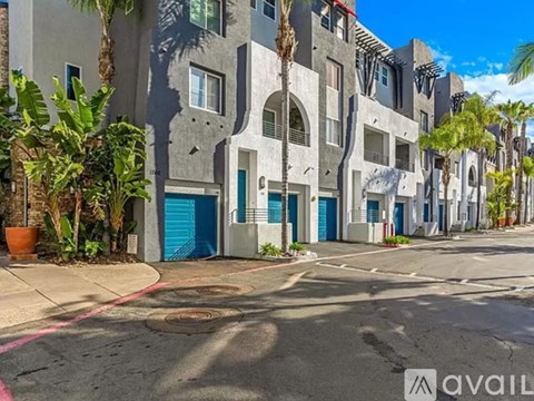 A street view of a building with a blue door and a palm tree in front.