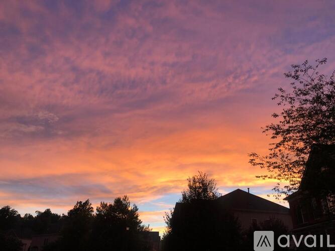 A beautiful sunset with a pink sky and silhouettes of trees and houses.