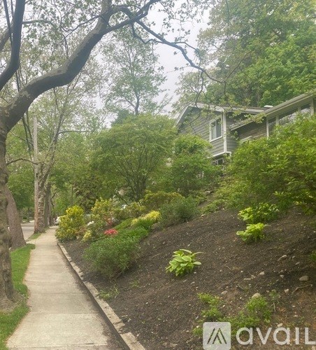 A house is surrounded by greenery and trees.