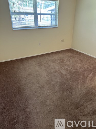 A room with a carpeted floor and a window.
