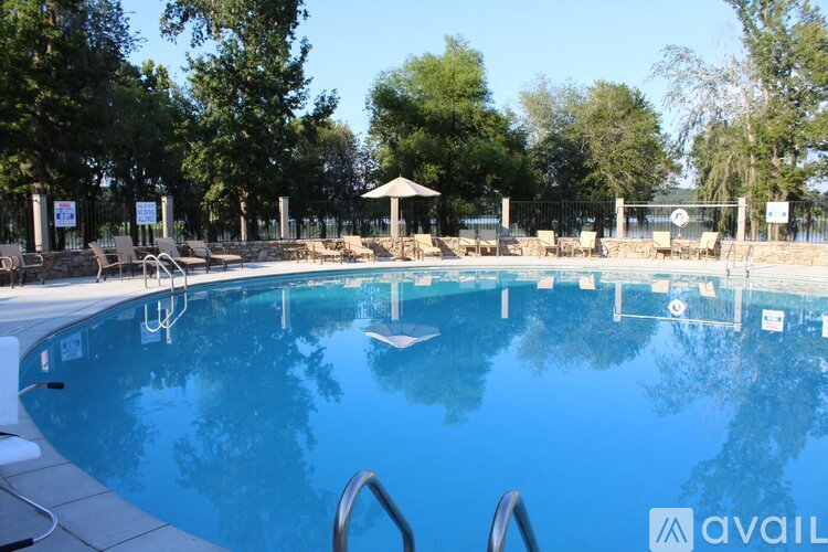 A large outdoor swimming pool surrounded by trees and lounge chairs.