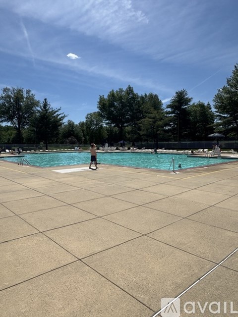 A person is standing on the edge of a swimming pool.