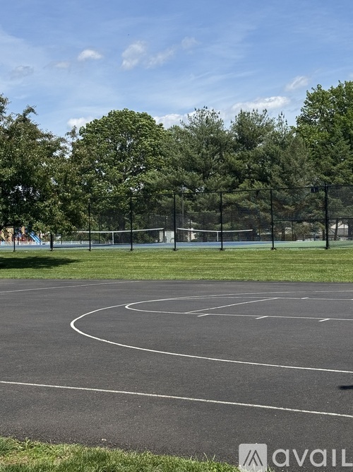 A basketball court is surrounded by trees and a fence.