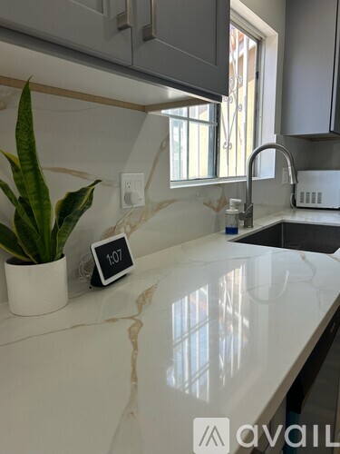 2510 West Harvard Street 4 Beds Single Family Home for Rent - Photo gallery 1