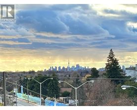 A city skyline is visible in the distance behind a row of trees and street lights.