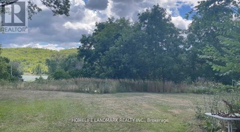 A field with trees and a cloudy sky in the background.