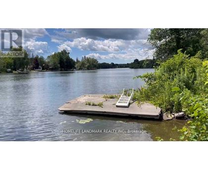 A small dock with a white ladder sits in the middle of a lake.