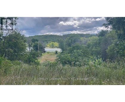 A landscape photo of a field with trees and a lake in the distance.