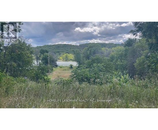 1355 COUNTY RD 45 3 Beds House for Rent - Photo gallery 4