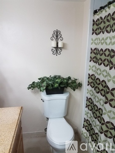 A white toilet with a green plant on top of it.