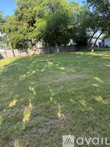 A grassy yard with trees and a fence in the background.
