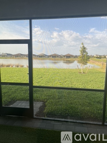 A view from a window looking out to a grassy area with a tree and a body of water.