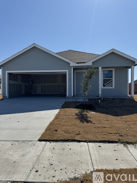 2303 Medusa Drive 4 Beds Apartment for Rent