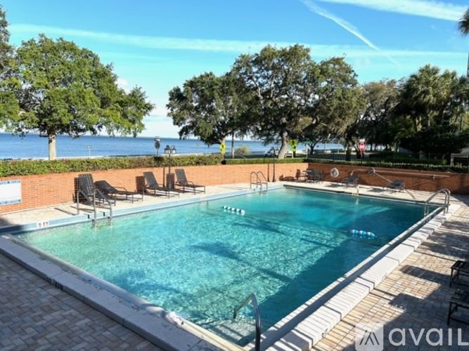A pool surrounded by trees and chairs with a view of the water.