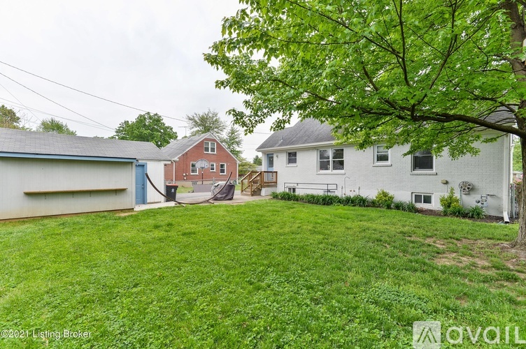 A grassy yard with a tree and two houses.