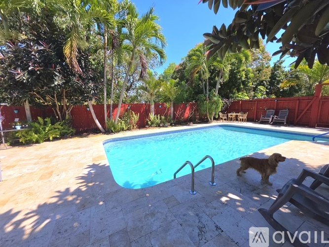 A dog is standing by a pool with a red fence in the background.