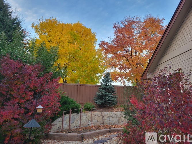A beautiful autumn scene with trees in yellow, red and green.