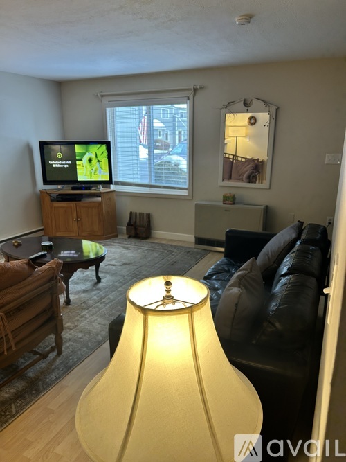 A living room with a television, couch, and a floor lamp.