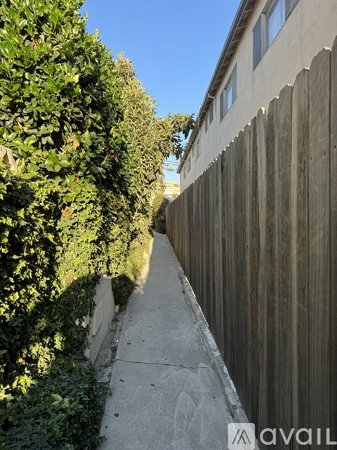 A narrow sidewalk runs between a fence and a hedge.